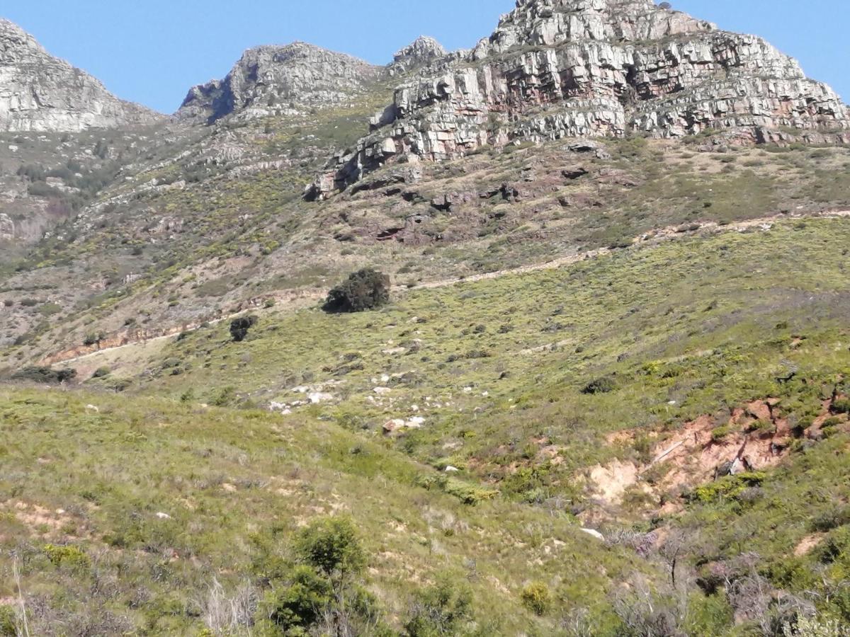 Disa Park 14Th Floor Apartment With City Views Cape Town Bagian luar foto